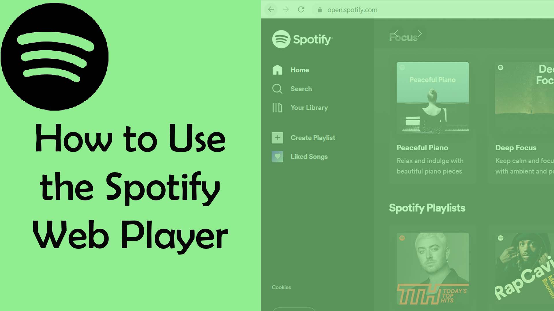 How to use the Spotify Web Player